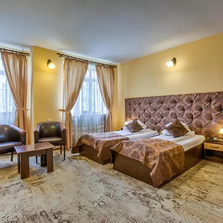 Pensiunea Ambient Guest house 3*