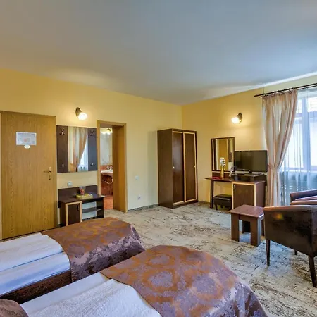Гостевой дом Pensiunea Ambient 3*