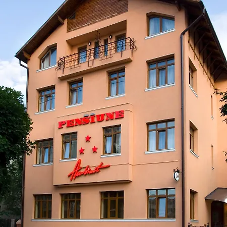 Pensiunea Ambient Guest house
