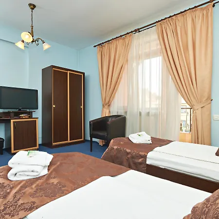 Pensiunea Ambient Guest house