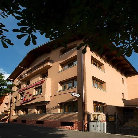 Pensiunea Ambient Guest house 3*