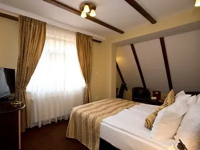 Pensiunea Ambient Guest house 3*