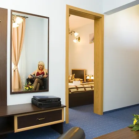 Pensiunea Ambient Guest house Brasov