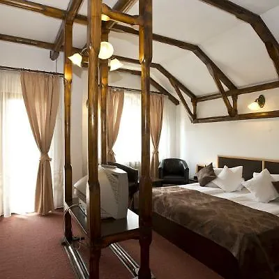 Pensiunea Ambient 3*