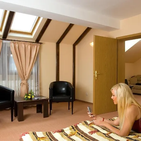 Pensiunea Ambient 3* Brasov